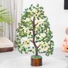 Green Aventurine Crystal Tree Good Luck Showpiece for Home Decor Items Crystals Gemstones Bonsai Money Tree for Good Luck, Decoration Gift Item