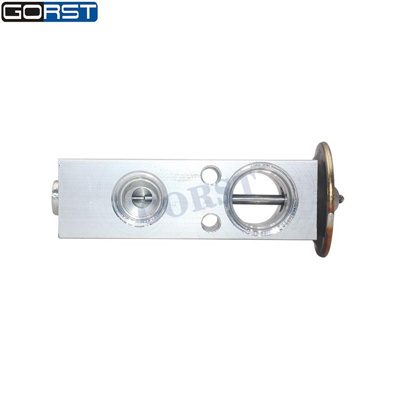 Thermostatic Expansion Valve For Chrysler Town & Country Dodge Caravan EX9011C