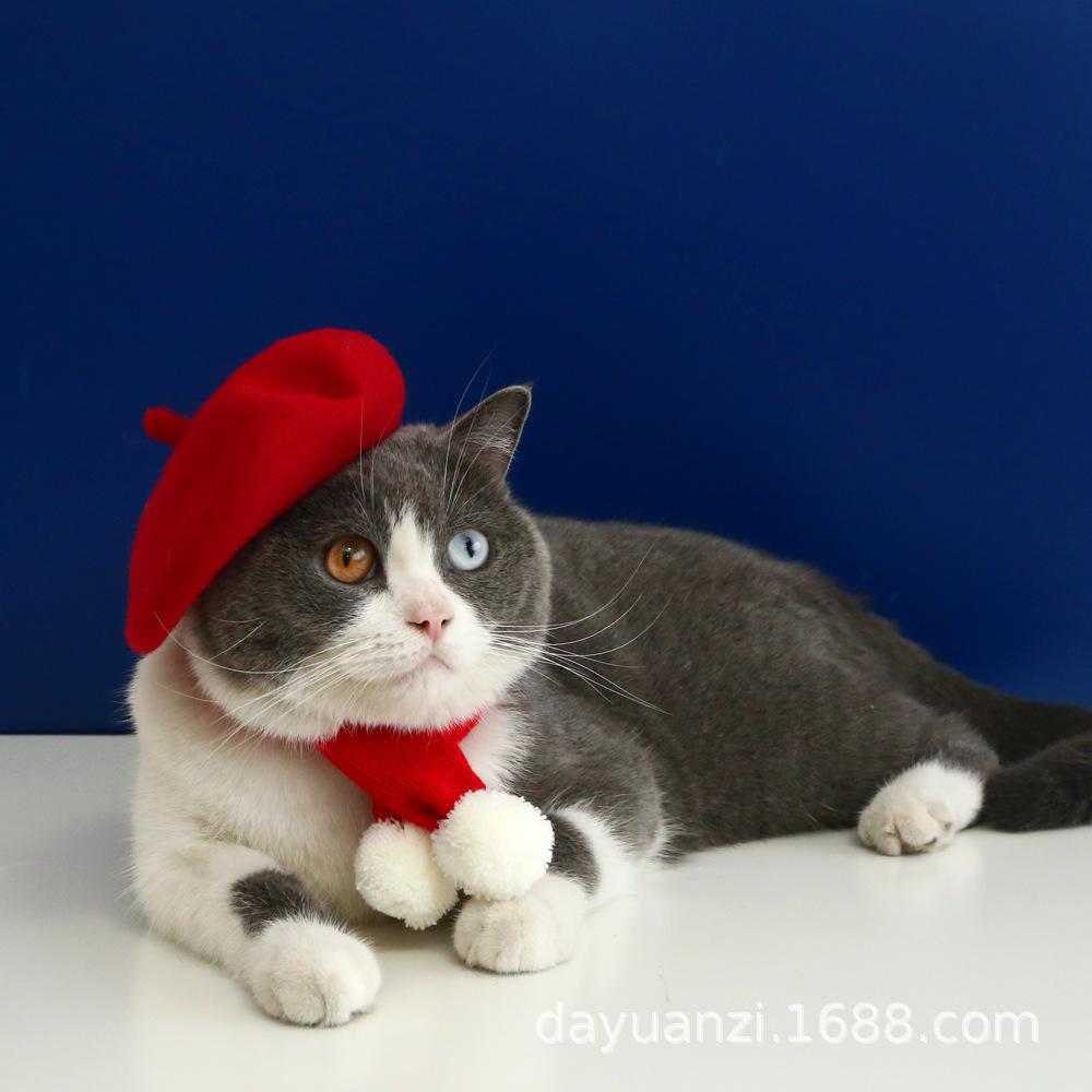 Pet Cat Muppet Dog Teddy New Year Princess Beret Wool Warm Cat Hat Pet Cap Pet Accessories