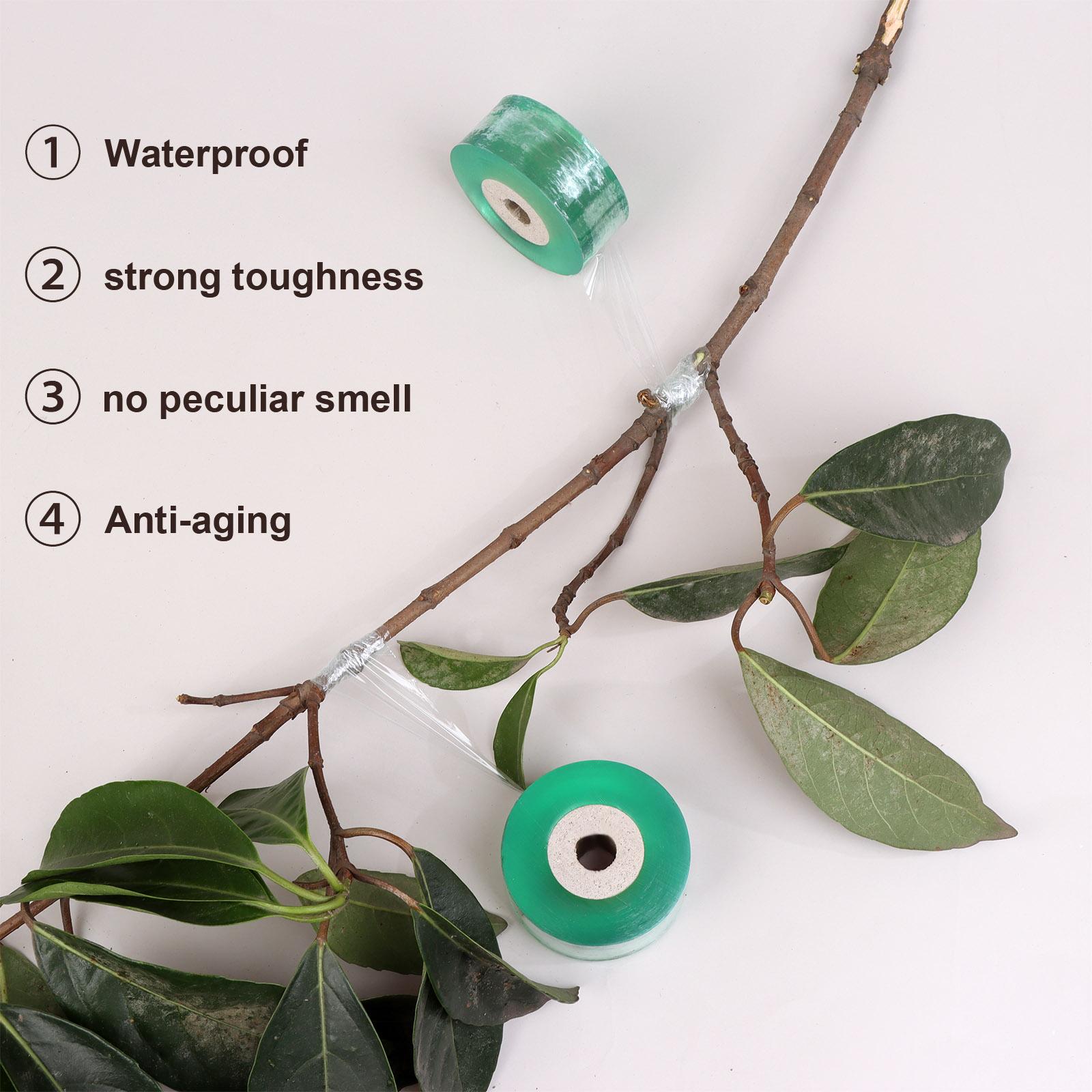 

Лента для прививки коляски с хорошей эластичностью, лента для прививки садовых фруктовых деревьев 2.5cm