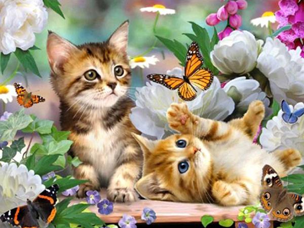 DIY Diamond Painting Cat Full Round Diamond Mosaic Animal Cross Stitch Embroidery Picture Of Rhinestones Wall Decor