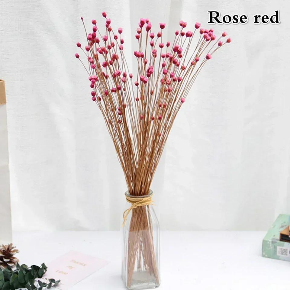 50 Bouquets Natural Real Small Dried Flowers Bouquets Brazilian Lucky Flowers Preserved Flowers