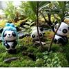 8-delers/sett Panda Mikrolandskap Resin Panda Mosedekorasjon Mikrolandskap DIY Materialsett Liten Panda Skrivebordsdekorasjon