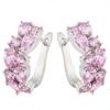 Mona Lisa Crystal Zircon Ladies Ear Buckles, Pop Earrings