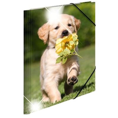 Herma Geëlastificeerde Glanzende PP Map A3 Dieren (Honden)