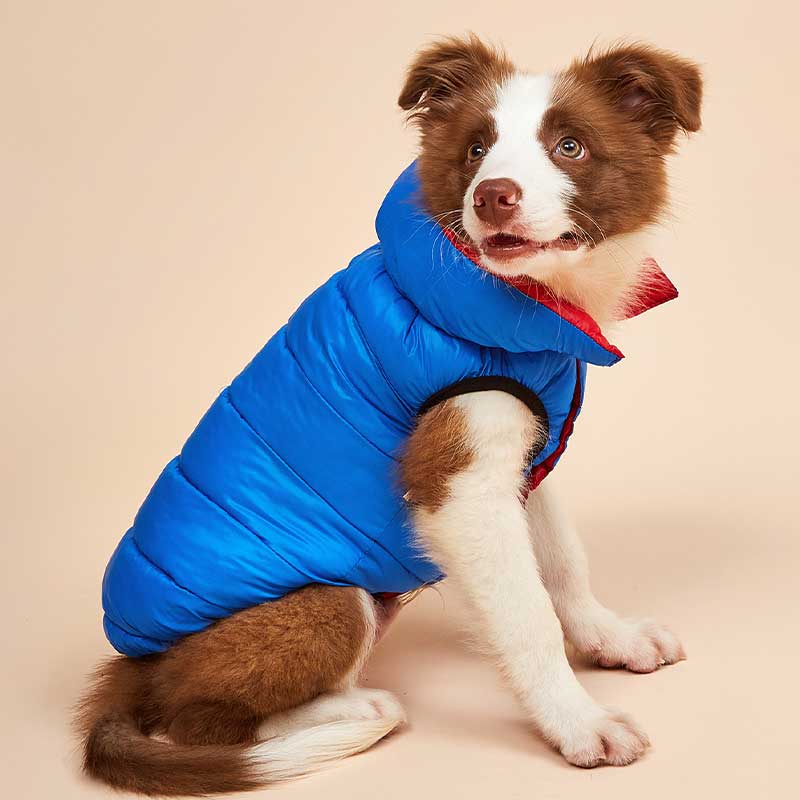 Winter Warm Border Collie Dog Vest Windproof Puffer Coat for Large Puppies 3 Months Cold Weather Apparel Dog Clothes Winter