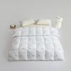 Muji Pro 2.0 Goose Velvet Quilt