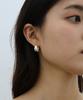 Febor Classic Dome Earring [S, M, L]_Silver
