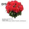 Artificial Begonias Bunch Reusable Wedding Party Decor Faux Flowers Fake Begonia Flowers for Home Interior Garden Porch Decoration