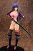 SKYTUBE Walkure Romanze Ryuzoji Akane Scale PVC Painted Finished Figure 1/5.5