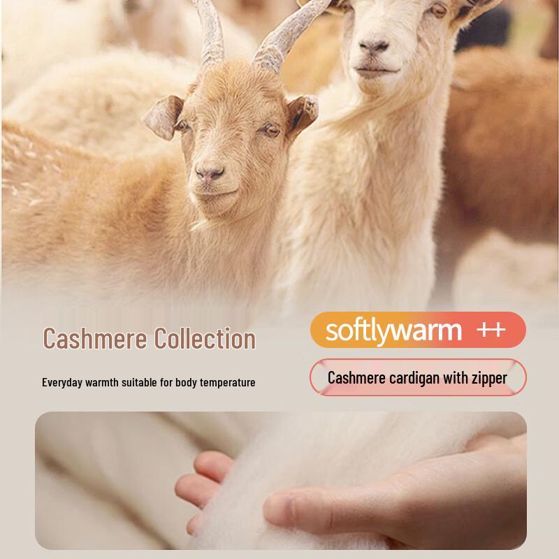 Hengyuanxiang Men's 100% Cashmere Stand Collar Cardigan