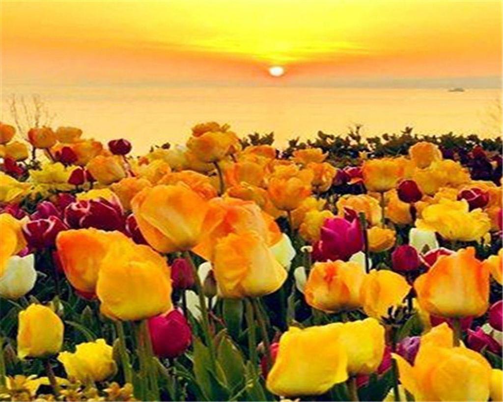 RUOPOTY DIY Frame Oil Painting By Numbers Tulip Flower Home Decor Acrylic Home Decor On Canvas Wall Art Picture For Living Room