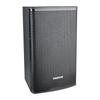 TAKSTAR Professional 12-inch Full-range Speaker KP-12