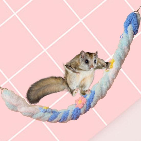Křeček Lezení po laně Zábava a cvičení Rozvíjí koordinaci a rovnováhu Křečci Morčata Fretky Lezení Plazení Kousání Hračka Klouzat Houpací síť