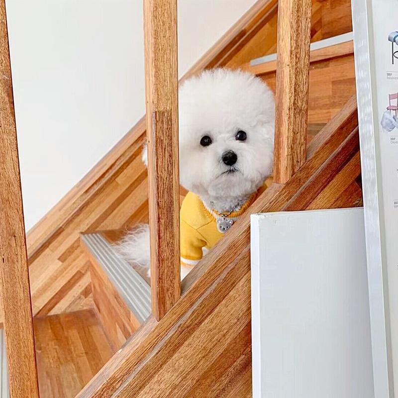 Pet Knitted Sweater Teddy Autumn And Winter Clothing Bichon Pomeranian Kitten Cat Yorkshire Warm Dog Clothes