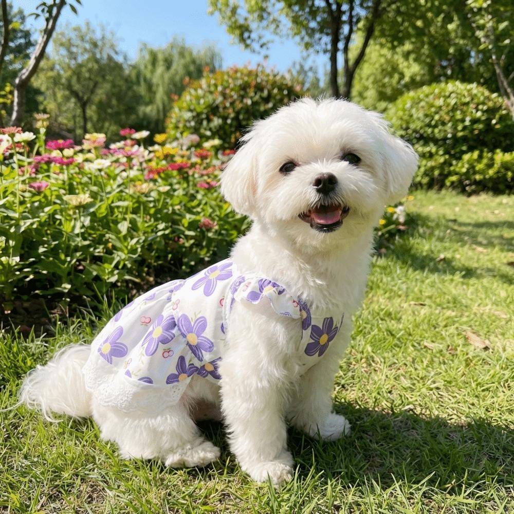 Breathable Floral Dog Skirt Lace-Trimmed Pet Flying Sleeve Dress Floral Suspender Dress Pet Party