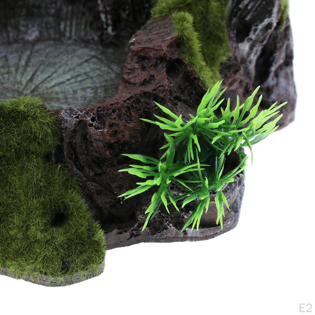 Plant Moss Decorative Resin Roack Bowl Dish Feeder Plate for Terrarium Reptile Tanks