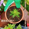 30cm Diameter Plant Pot Soil Guard Soil Cat and Dog Pot Digging Protective for Indoor and Outdoor Gardening Supplies Set of Grid, Cover, Round,