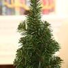 20cm/30cm Mini Green Christmas Tree DIY Decorative Tree Home Decoration Desktop Decoration