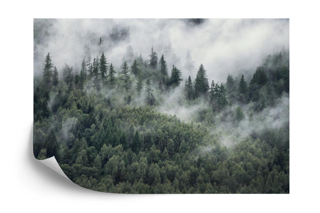 Photomural Forest In The Morning Mist Structural Vinyl 405x270