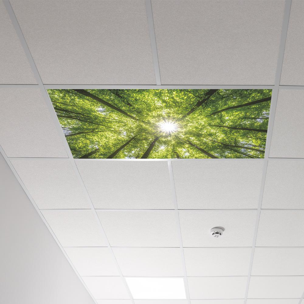 Spring Sunshine Forest Ceiling Roof Bedroom Living Room Home Beautification Stickers