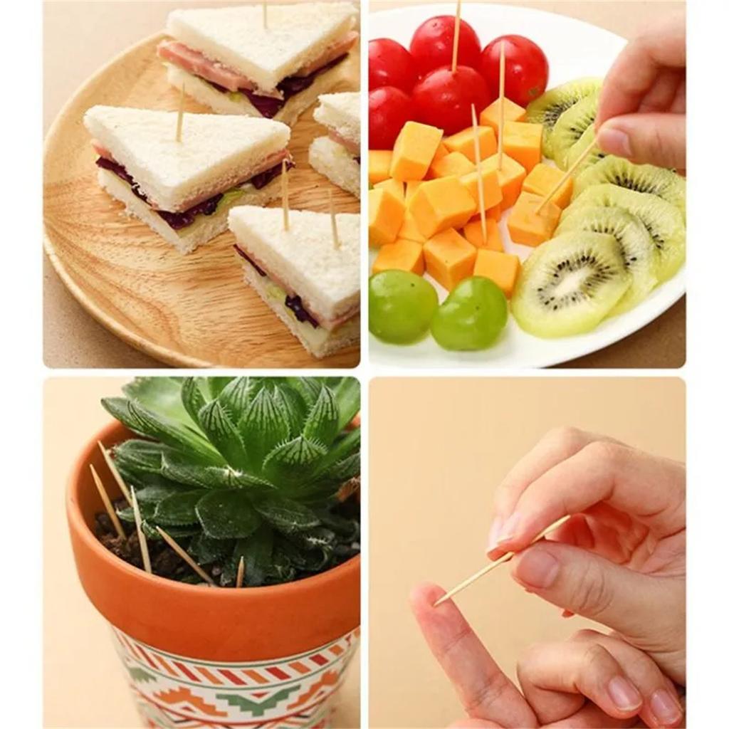 Household Toothpicks, Disposable Toothpicks, Fruit Picks, 1000 Pieces