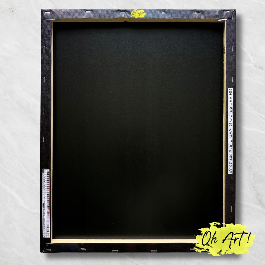 Haft diamentowy 5d z ramką dla dzieci kot diamond painting 20x30 oh art!