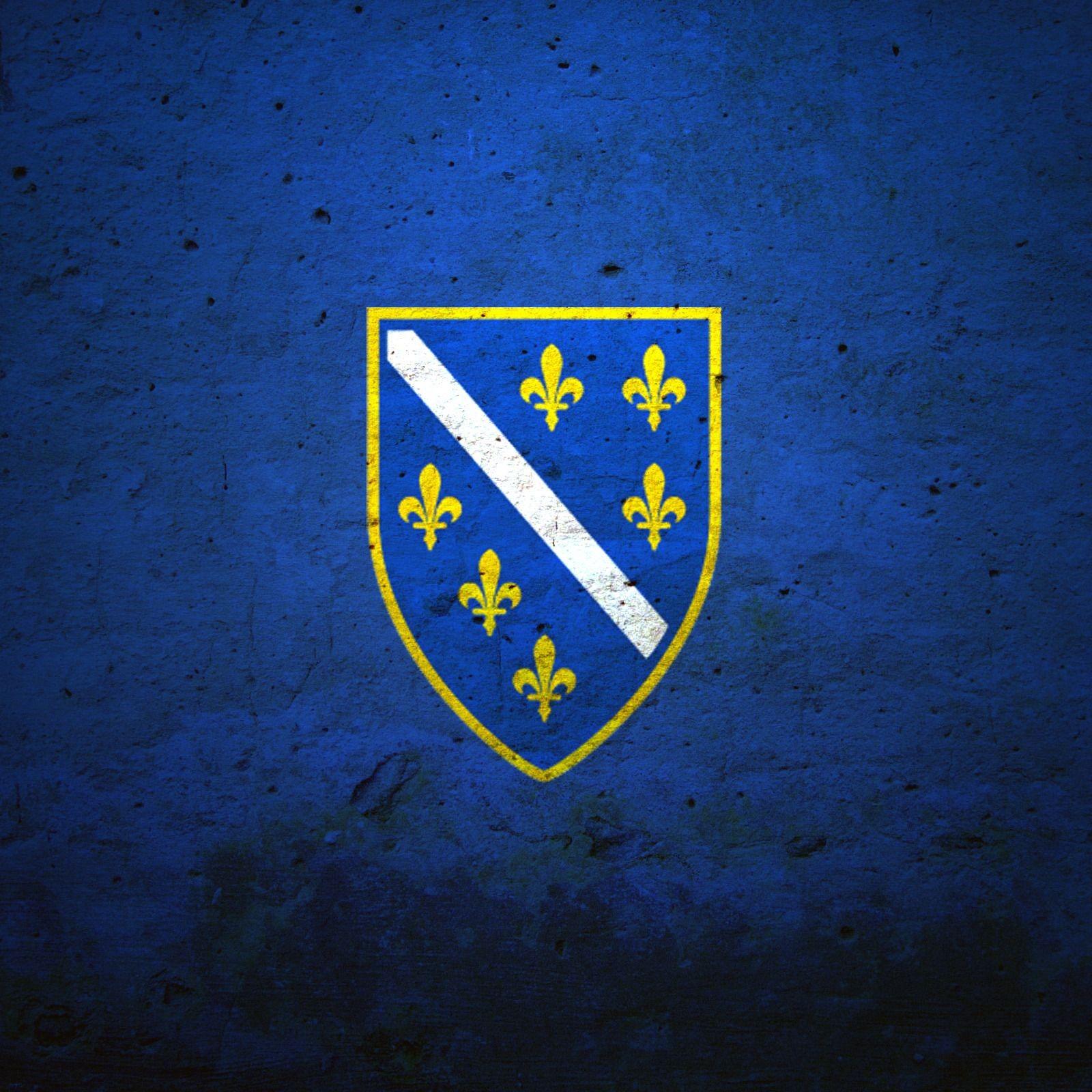 Футболка Bosnia MMA Kick Boxing UFC Muay Thai с винтажным принтом флага страны для мужчин — фото 4