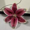 Phalaenopsis Orchid Lily Keychain Exquisite Bag Pendant Fashion Car Key Ring