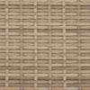 Divano da Giardino a 2 Posti con Tettoia e Poggiapiedi in Polyrattan Beige