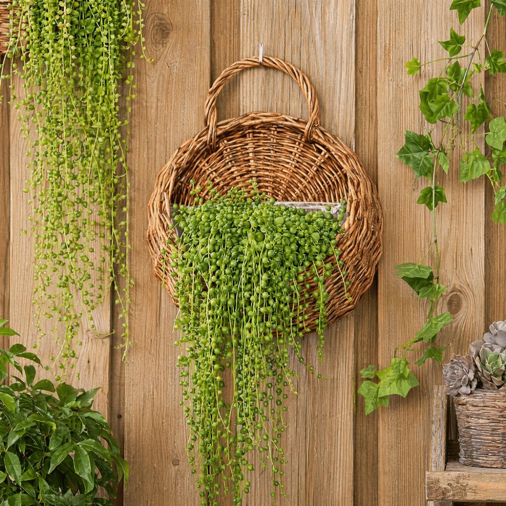 Maceta colgante de pared Jarrón tejido a mano Estilo rústico Cesta macetero de ratán Decoración del hogar