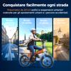 ENGWEI EP-2 Boost Elektrofahrrad 250W Motor 48V13AH Abnehmbarer Akku E-Bike 20 Zoll Fettreifen All Terrain Faltbares Elektrofahrrad
