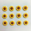 10 szt. owalnych plastikowych magnesów na lodówkę w kształcie słonecznika do wystroju kuchni i jadalni