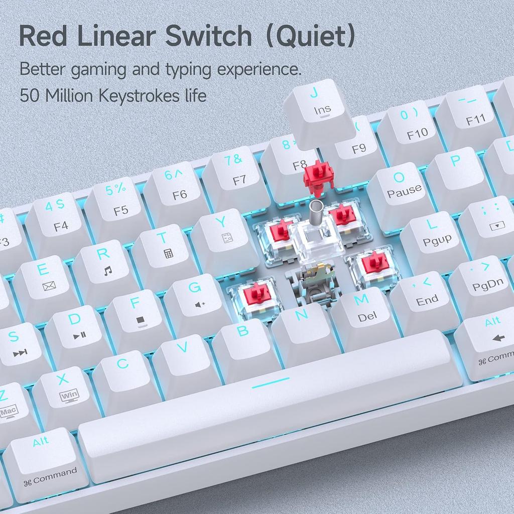 60% Mechanical Hot Swap Type-c Keyboard Small Mechanical Keyboard Wired Gaming Keyboard