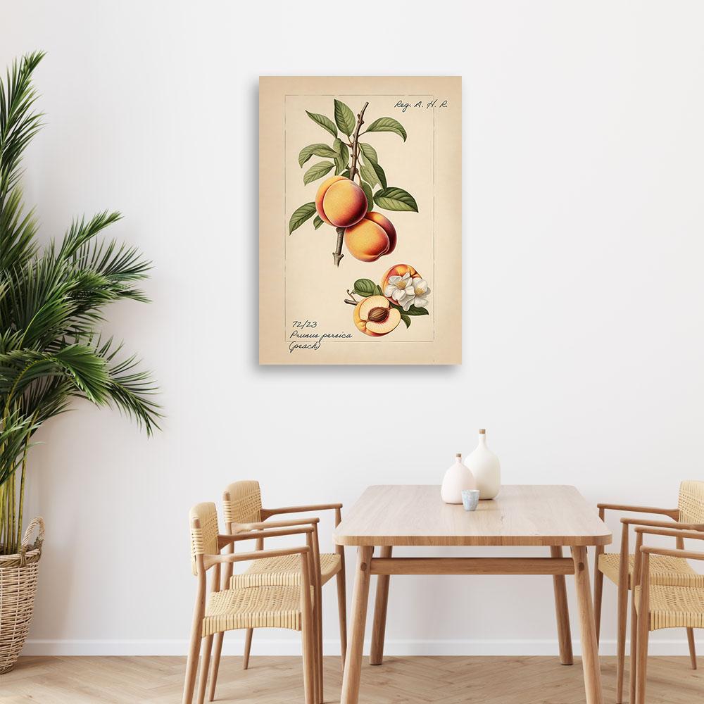 Canvas print, Fruit Vintage Peach