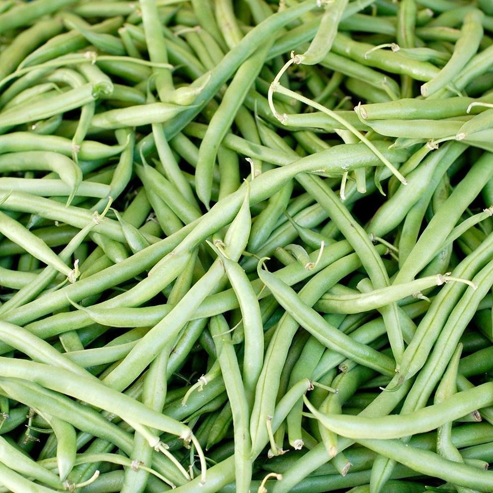 Guar Gum Hydrolysate Powder, Prebiotics Probiotics Powder, KFDA HACCP Certified, 150g