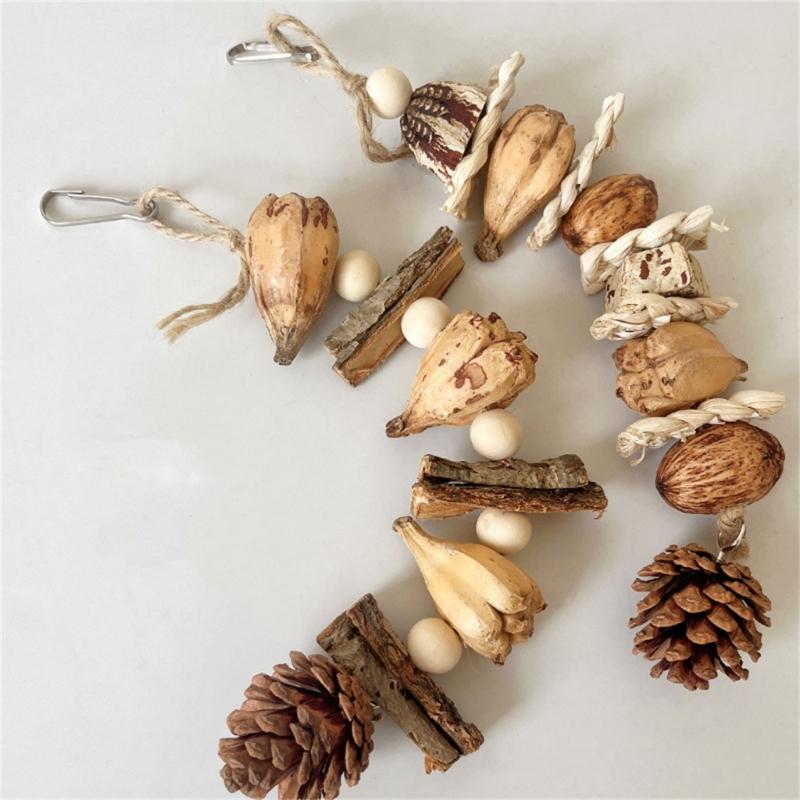 Vogelspielzeug Papagei Kauspielzeug Vogelkäfig Reißspielzeug Kleiner Mittlerer Vogelkäfig Kiefernzapfen Vogelstange für Conure Nymphensittiche