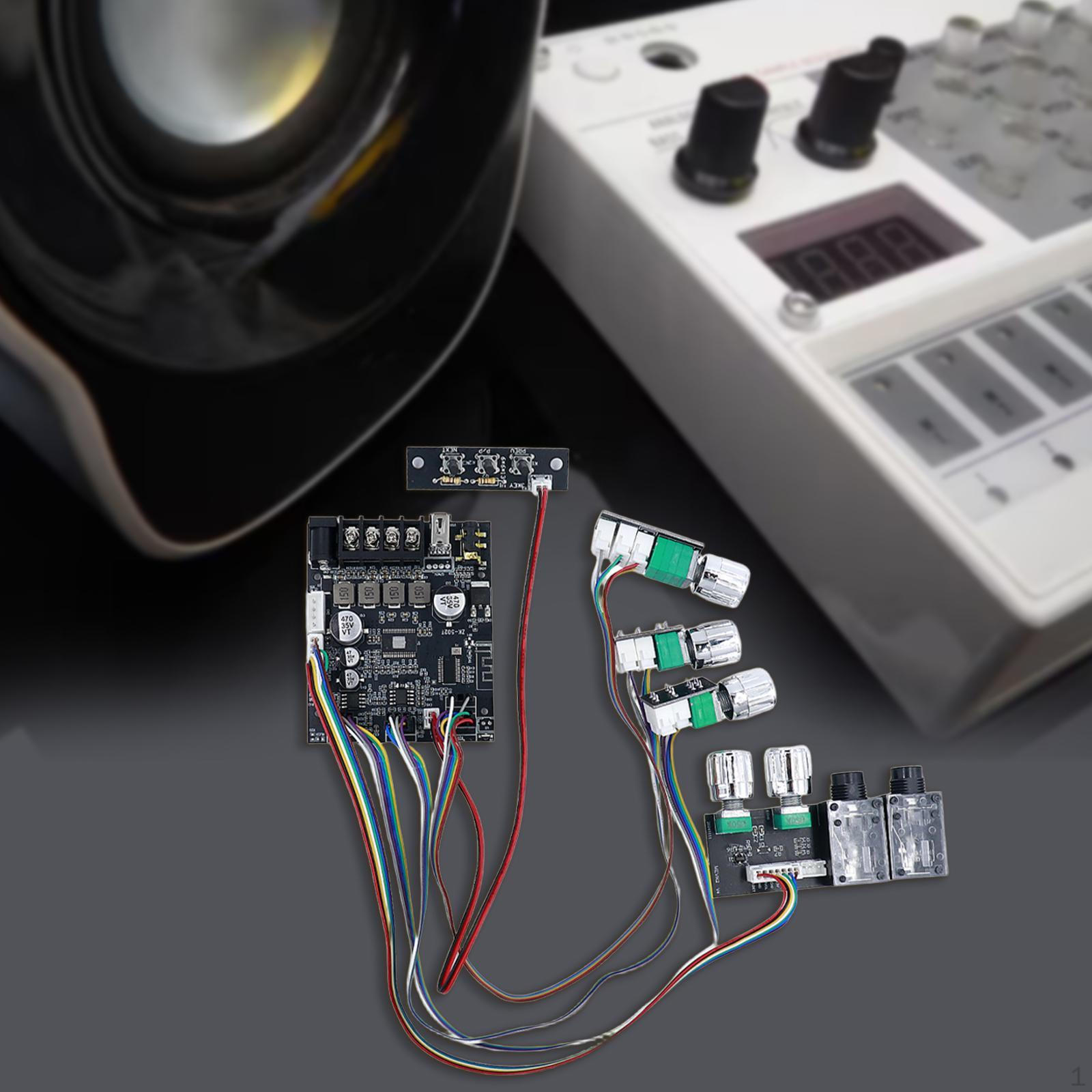 

Power Amplifier Board Microphone and Sound Module High Performance Anti Howling TPA3116D2 for DIY