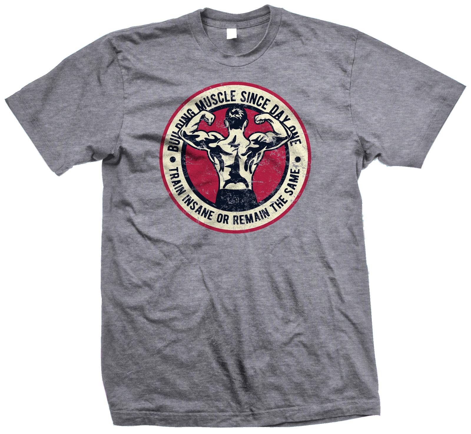 Train insane or remain the same - Gym T Shirt, Bodybuilding T Shirt - XS to 5XL XL