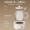 Tazza elettrica multifunzionale per la salute, tazza elettrica per l'ufficio, tazza elettrica per il riscaldamento, tazza elettrica per stufato a nido d'uccello, scaldatazze