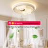 Nordic Modern Ceiling Light with Leafless Fan for Bedroom or Restaurant