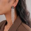 Zircon X fringed silver needle earrings personalized stud earrings