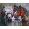 5D Diy Diamond Painting Cross Stitch Cartoon Two Horses Landscape Home Paintings Crafts