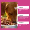 Dog Probiotic Tablets Improve Intestinal Health And Promote Digestion And Absorption Of Pet Nutritional Supplements