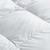 Fang En White Goose Down Winter Duvet