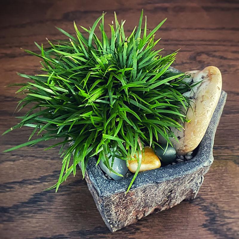 Basalt FlowerPot Succulent Plant Nursery Planter Natral Stone Vase Decoration Home Table Craft Bonsai Garden Decor New Year Gift