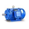 Taylor YE4 Three-Phase Asynchronous Energy-Saving Motor