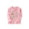 In-Stock Girls' Long-Sleeve T-Shirt, New Spring and Autumn Style, Stylish Children's Pullover Top, Baby Girl Clothes, Autumn Base Shirt 3