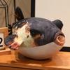 20-35cm Adorable Blowfish Plush Pillow, 3D Realistic Simulation Puffer Fish Cushion Backpack Pendant for Home Decor