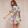 Women's Summer V-Neck Printed Beach Dress Lantern Sleeve Short Dresses